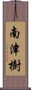 南津樹 Scroll