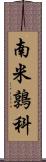 南米鶉科 Scroll