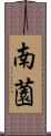 南薗 Scroll