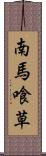 南馬喰草 Scroll