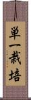 単一栽培 Scroll