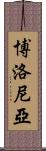 博洛尼亞 Scroll
