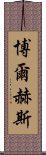 博爾赫斯 Scroll