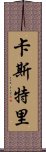 卡斯特里 Scroll