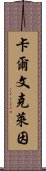 卡爾文克萊因 Scroll