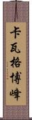 卡瓦格博峰 Scroll