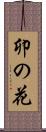 卯の花 Scroll