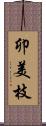 卯美枝 Scroll