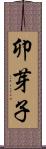 卯芽子 Scroll