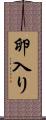 卵入り Scroll