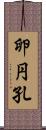 卵円孔 Scroll