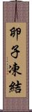 卵子凍結 Scroll