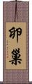 卵巢 Scroll