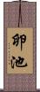 卵池 Scroll
