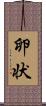 卵状 Scroll