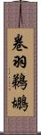 卷羽鵜鶘 Scroll