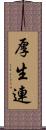 厚生連 Scroll