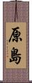 原島 Scroll
