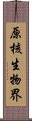 原核生物界 Scroll