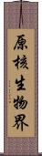 原核生物界 Scroll