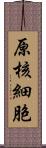 原核細胞 Scroll