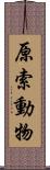 原索動物 Scroll