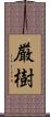 厳樹 Scroll