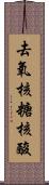 去氧核糖核酸 Scroll