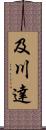 及川達 Scroll