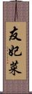 友妃菜 Scroll