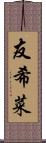 友希菜 Scroll
