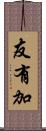友有加 Scroll