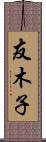 友木子 Scroll