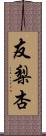 友梨杏 Scroll