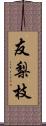 友梨枝 Scroll