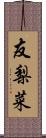 友梨菜 Scroll