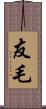 友毛 Scroll