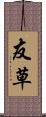 友草 Scroll