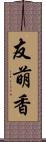 友萌香 Scroll