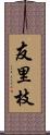 友里枝 Scroll