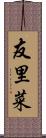 友里菜 Scroll