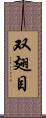 双翅目 Scroll
