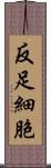 反足細胞 Scroll