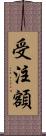 受注額 Scroll