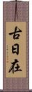 古日在 Scroll