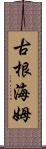 古根海姆 Scroll