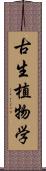 古生植物学 Scroll