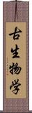 古生物学 Scroll