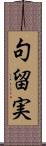 句留実 Scroll
