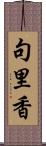 句里香 Scroll